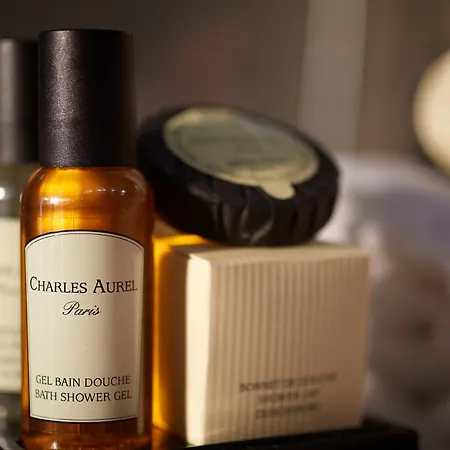 Hotel Beaugrenelle St-charles Tour Eiffel Paris