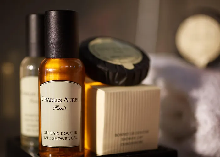 Hotel Beaugrenelle St-charles Tour Eiffel Paris